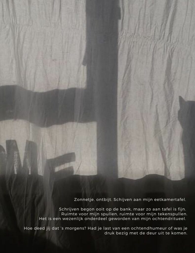 Schijven aan mijn eetkamertafe